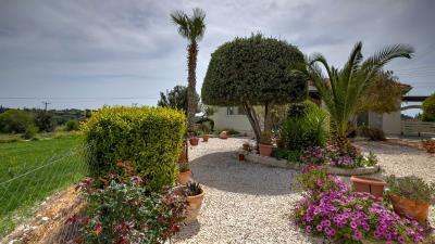 Anogyra-Porter--3-of-17-