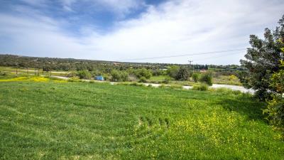 Anogyra-Porter--6-of-17-