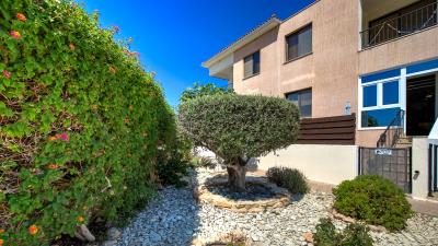 The-Vines-1-_-ID-1064--1-of-16-