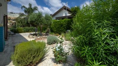 Paloedia-_-ID-1081--4-of-33-