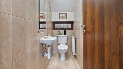 Paloedia-_-ID-1081--8-of-33-