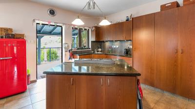 Paloedia-_-ID-1081--10-of-33-