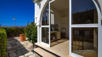 4-Ampeloni---ID-1084--4-of-25-