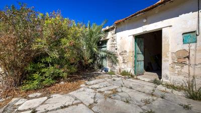 CM---Prastio---ID-1097--4-of-15-