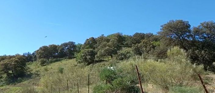 Image No.5-Plot for sale