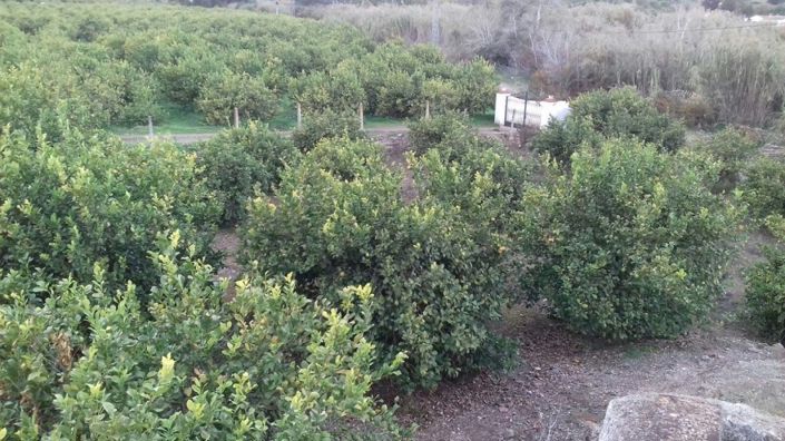 Image No.11-3 Bed Villa for sale