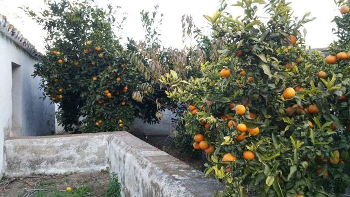 Image No.6-3 Bed Villa for sale