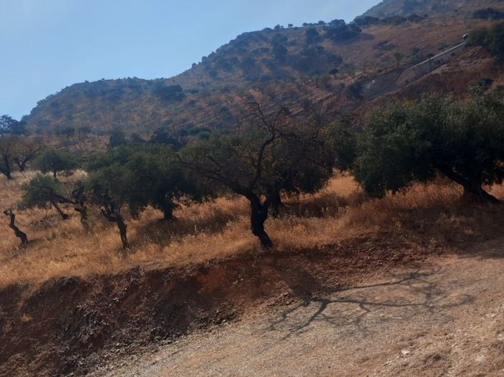 Image No.6-Villa de 1 chambre à vendre à Casabermeja