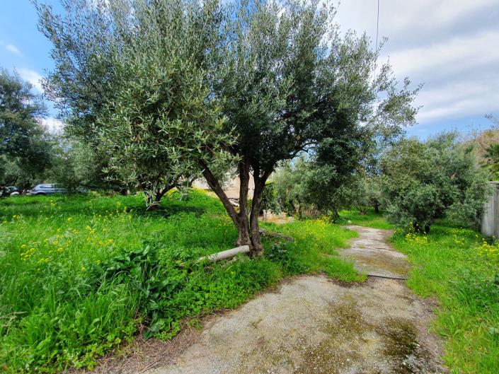 Image No.4-Commercial de 5 chambres à vendre à Sissi