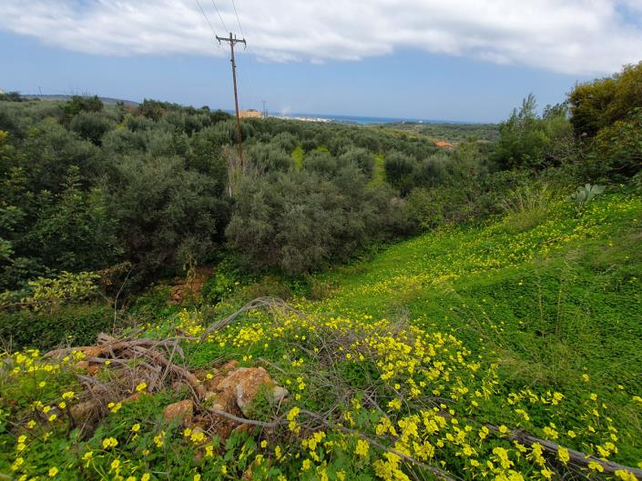 Image No.5-Commercial de 5 chambres à vendre à Sissi