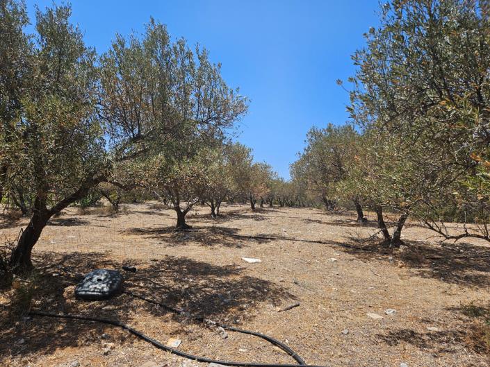 Image No.27-3 Bed Apartment for sale