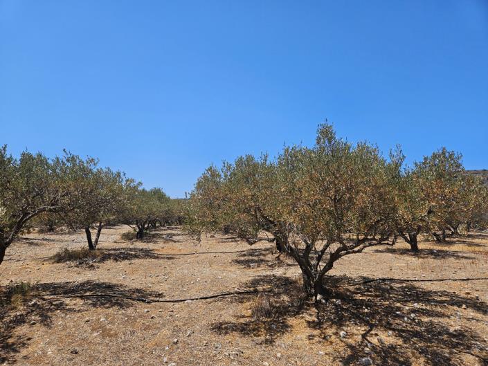 Image No.28-3 Bed Apartment for sale