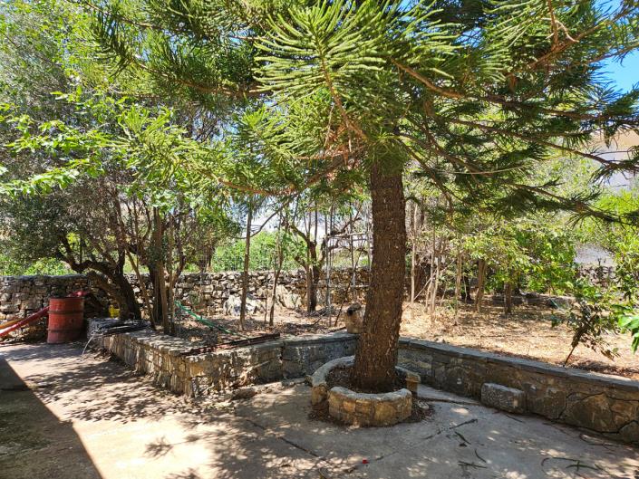 Image No.21-Maison de village de 3 chambres à vendre à Neapoli