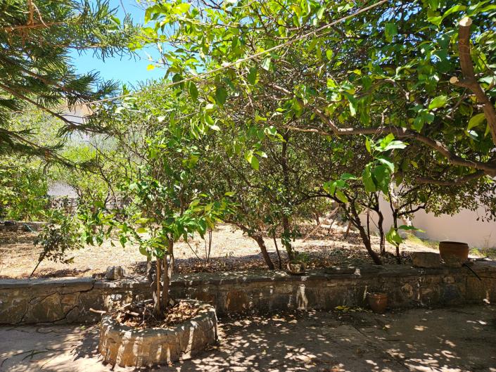 Image No.22-Maison de village de 3 chambres à vendre à Neapoli