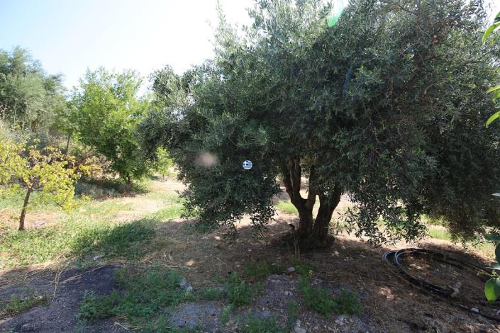 Image No.32-3 Bed Villa for sale