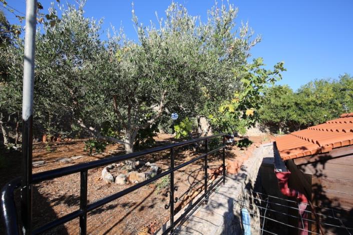 Image No.18-Maison de 3 chambres à vendre à Sellia