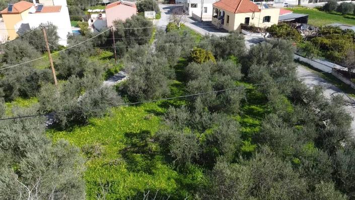 Image No.4-Maison de 3 chambres à vendre à Kalamitsi