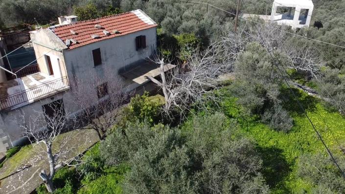 Image No.5-Maison de 3 chambres à vendre à Kalamitsi