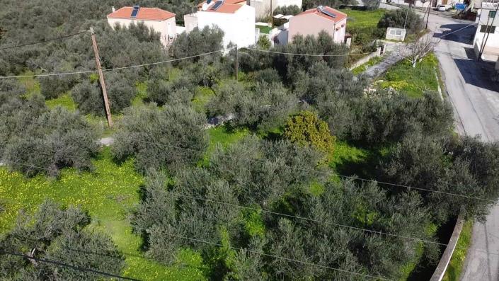 Image No.6-Maison de 3 chambres à vendre à Kalamitsi