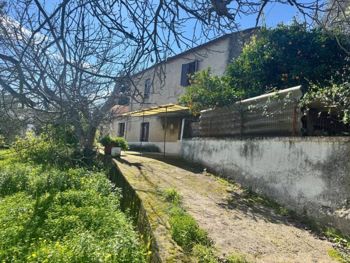 Image No.12-Maison de 3 chambres à vendre à Kalamitsi