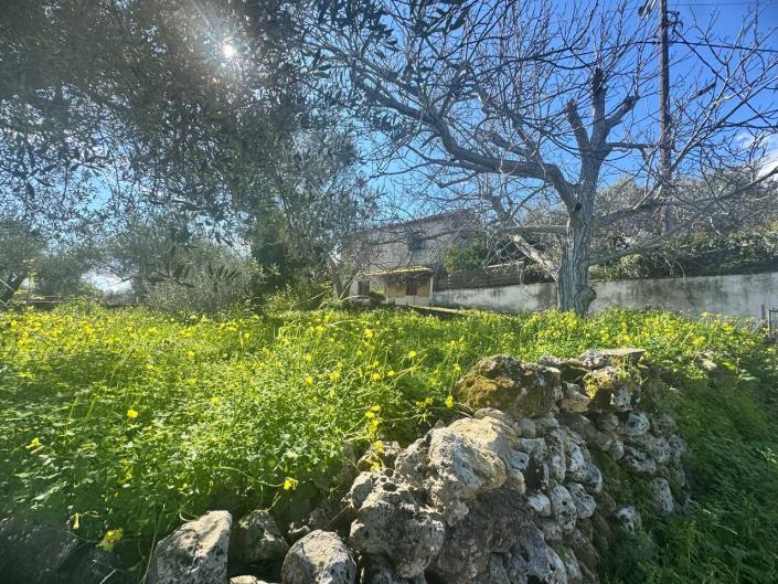 Image No.13-Maison de 3 chambres à vendre à Kalamitsi