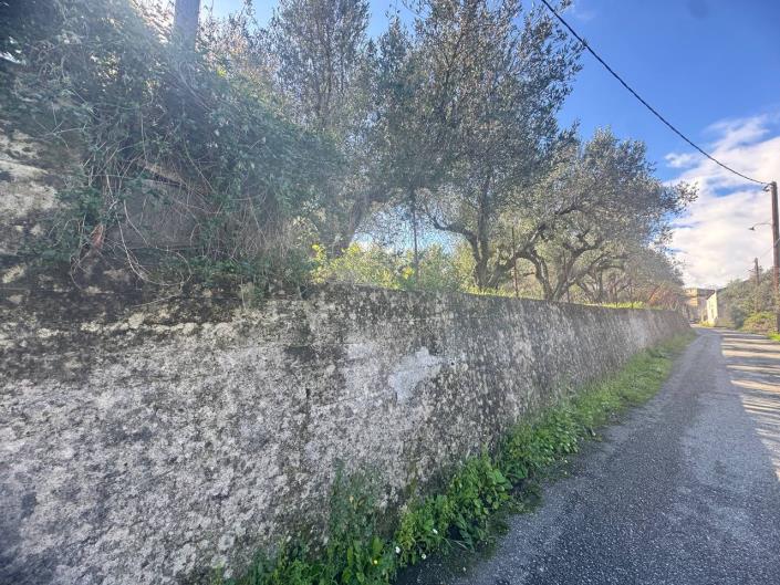 Image No.15-Maison de 3 chambres à vendre à Kalamitsi