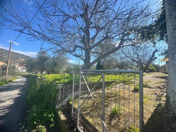 Image No.14-Maison de 3 chambres à vendre à Kalamitsi