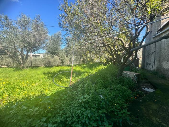 Image No.17-Maison de 3 chambres à vendre à Kalamitsi