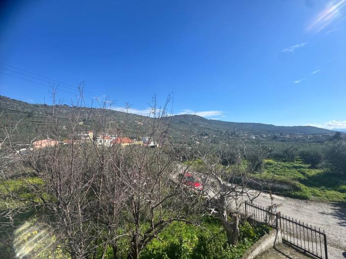 Image No.36-Maison de 3 chambres à vendre à Kalamitsi