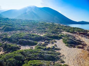 PHOTO-2025-08-05-13-09-18--3-