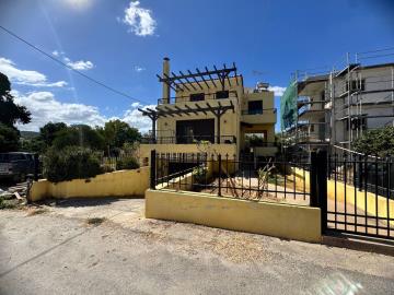 -------JPEG-44E9-973D-AD-1_1