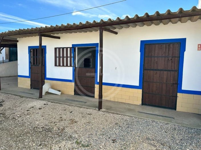 Image No.26-Maison de 3 chambres à vendre à Silves
