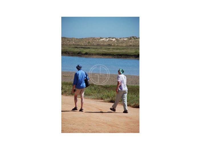 Image No.14-Plot for sale