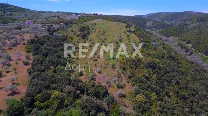 Image No.13-Property for sale