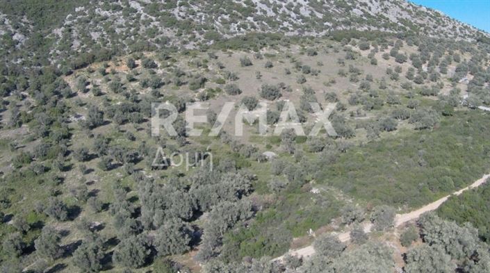 Image No.7-Property for sale