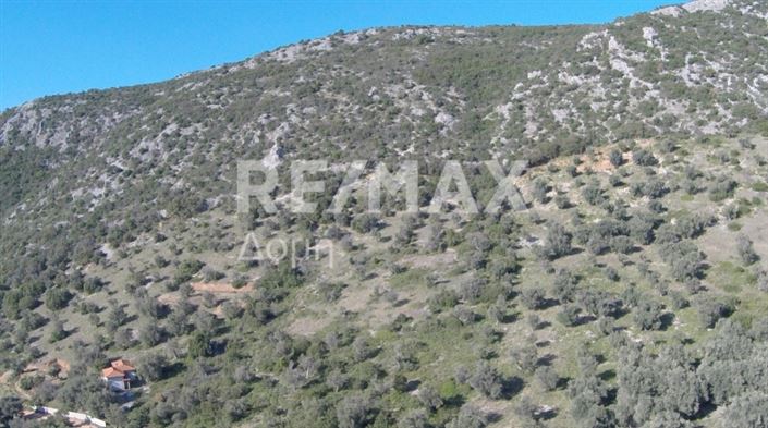 Image No.8-Property for sale