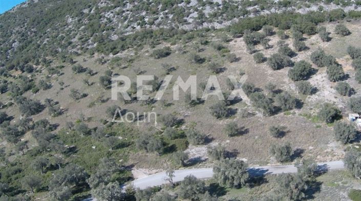 Image No.9-Property for sale