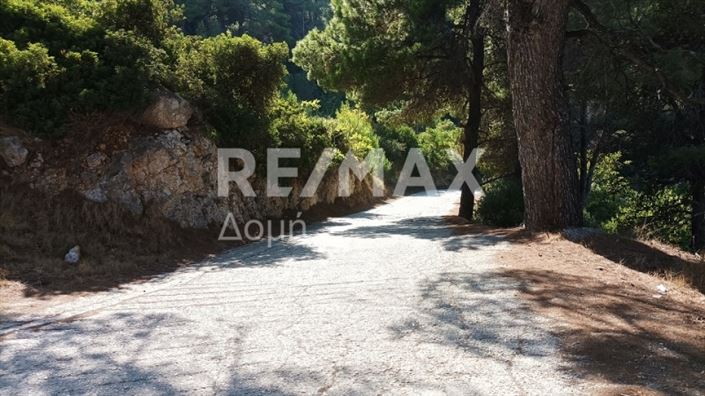 Image No.3-Property for sale