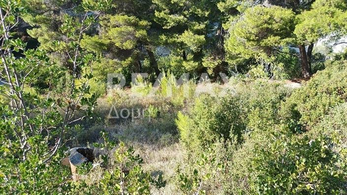 Image No.6-Property for sale