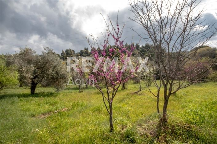 Image No.10-Propriété à vendre à Agios Georgios 