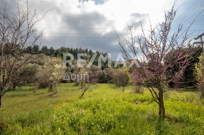 Image No.12-Propriété à vendre à Agios Georgios 