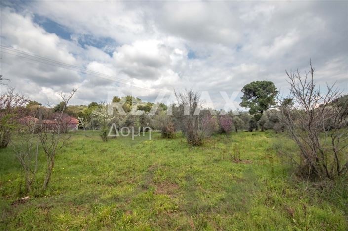 Image No.14-Propriété à vendre à Agios Georgios 