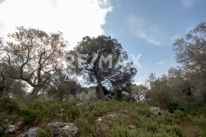 Image No.17-Propriété à vendre à Agios Georgios 