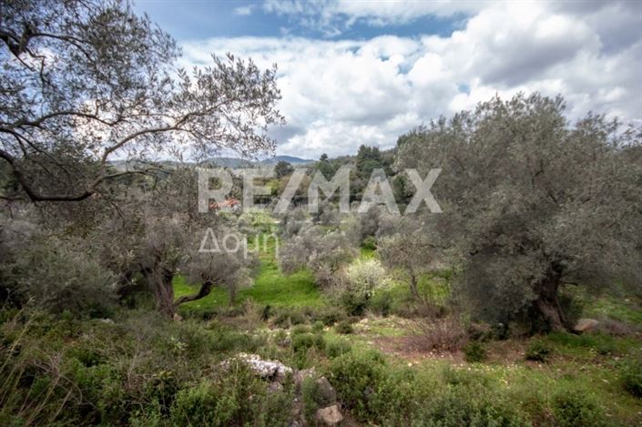 Image No.18-Propriété à vendre à Agios Georgios 