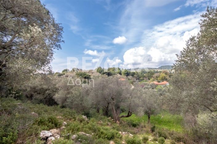 Image No.19-Propriété à vendre à Agios Georgios 