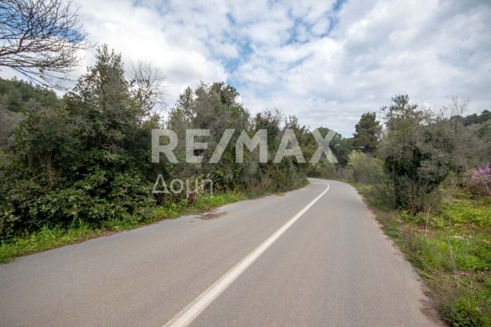 Image No.26-Propriété à vendre à Agios Georgios 