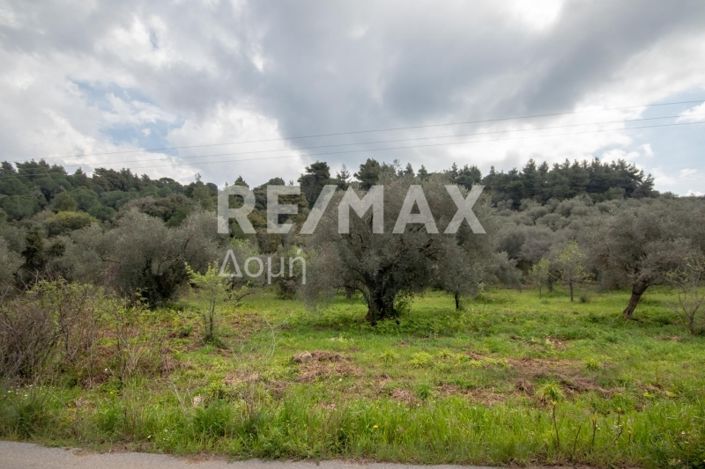 Image No.27-Propriété à vendre à Agios Georgios 