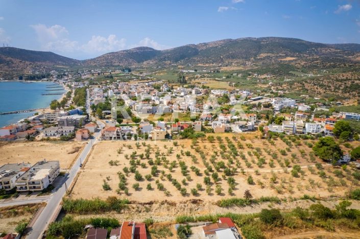 Image No.12-Property for sale