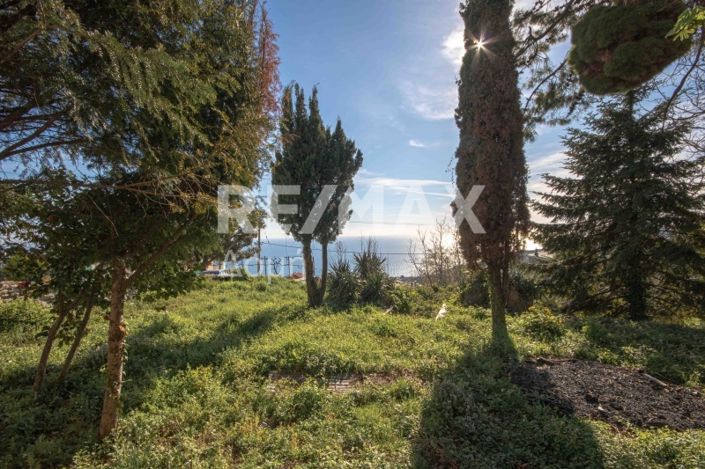 Image No.13-Property for sale