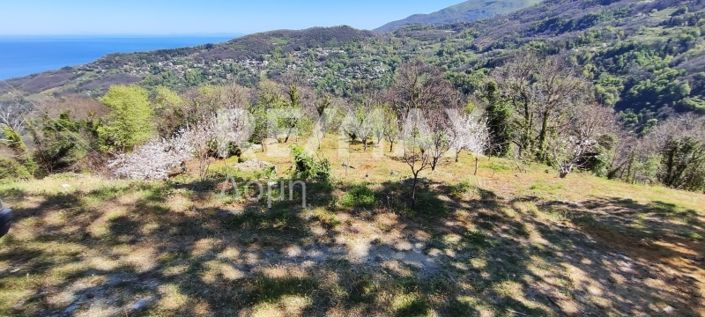 Image No.11-Property for sale